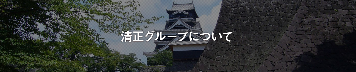 清正グループについて